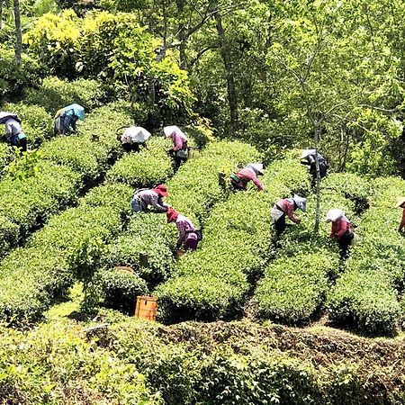 Tianyi Homestay Fenchihu Bagian luar foto
