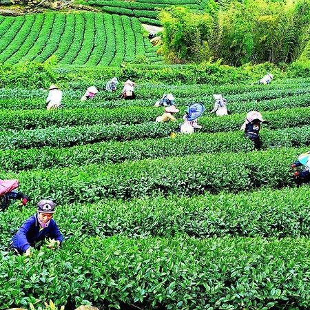 Tianyi Homestay Fenchihu Bagian luar foto