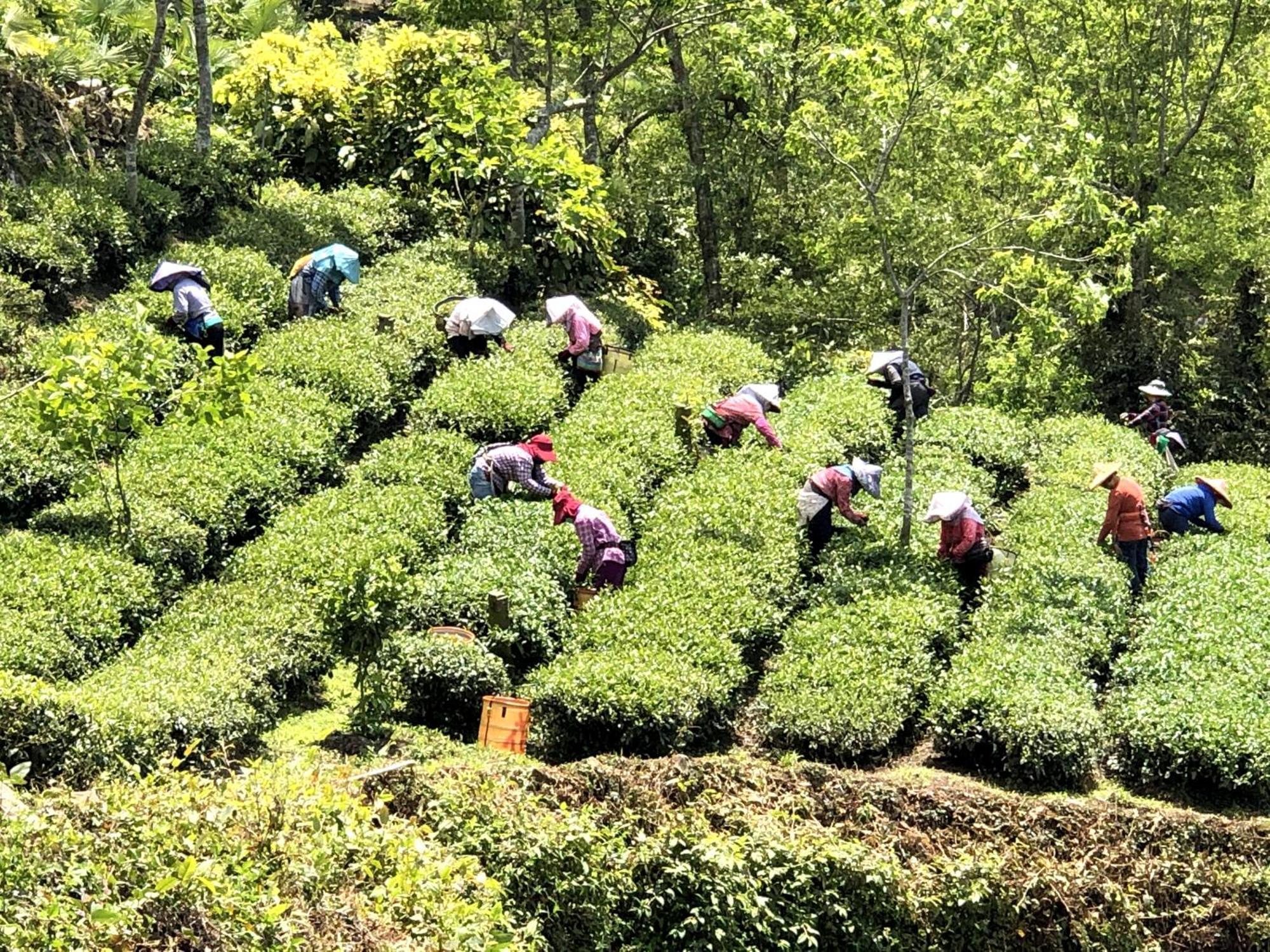 Tianyi Homestay Fenchihu Bagian luar foto