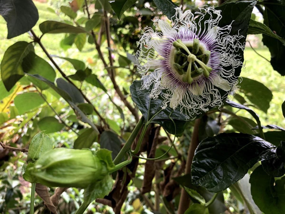 Tianyi Homestay Fenchihu Bagian luar foto